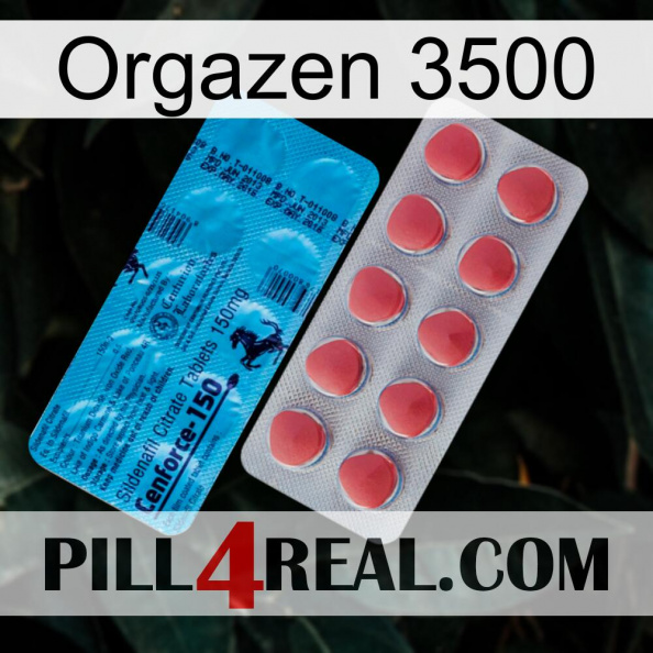 Orgazen 3500 new14.jpg